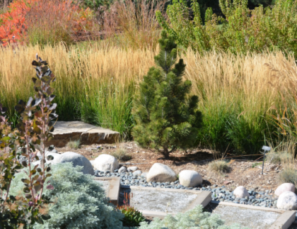 xeriscaping in colorado springs