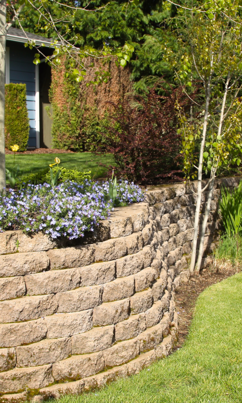 The Basics of Retaining Walls Every Homeowner Should Know