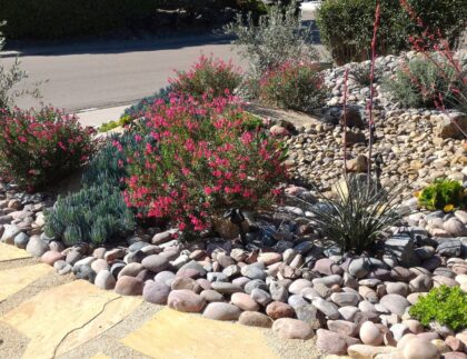 low maintenance landscaping