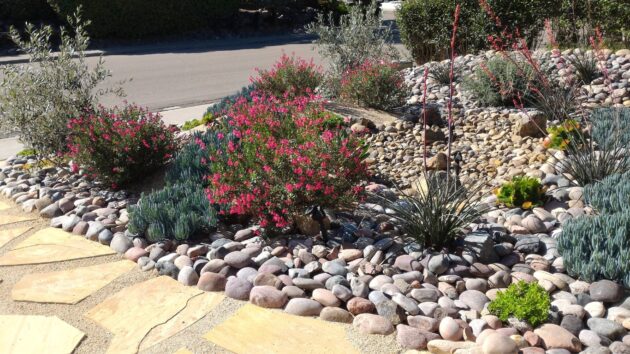 low maintenance landscaping