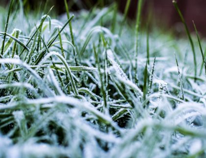 winter landscape prep