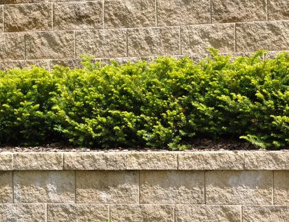 retaining wall builders