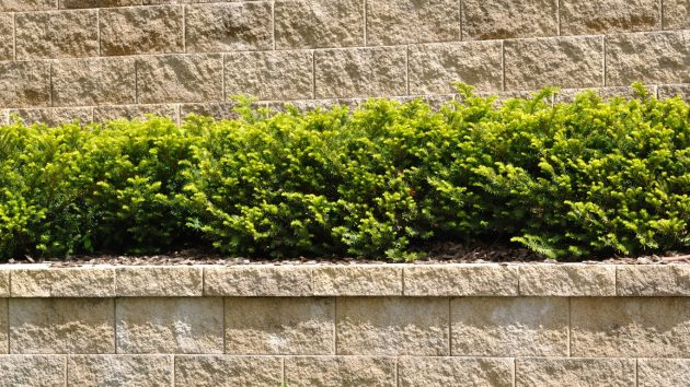 retaining wall builders