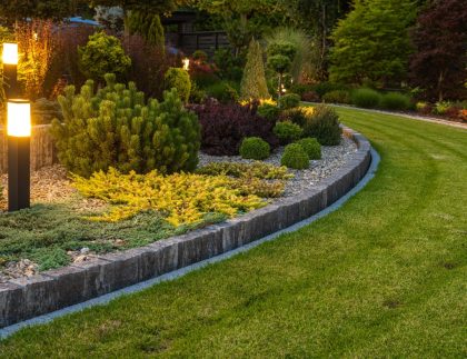 Backyard Landscape Lighting