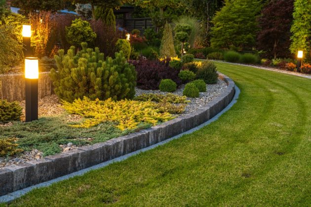 Backyard Landscape Lighting