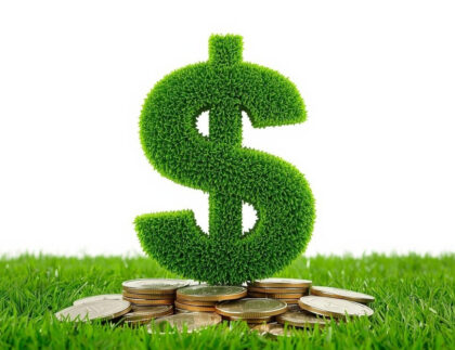 artificial turf cost colorado springs