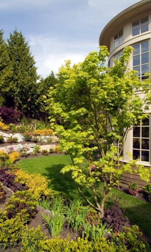 backyard landscaping ideas colorado springs