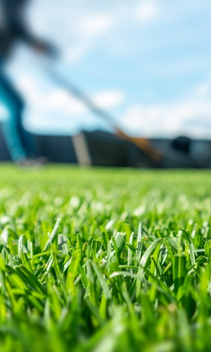 artificial turf colorado springs