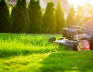 low-maintenance lawn colorado springs