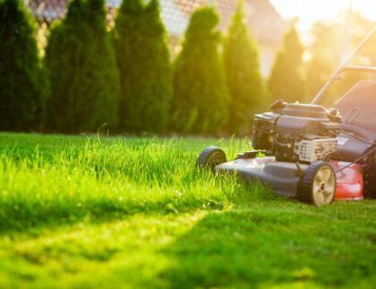 low-maintenance lawn colorado springs