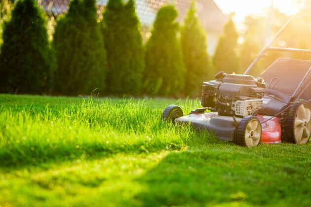 low-maintenance lawn colorado springs