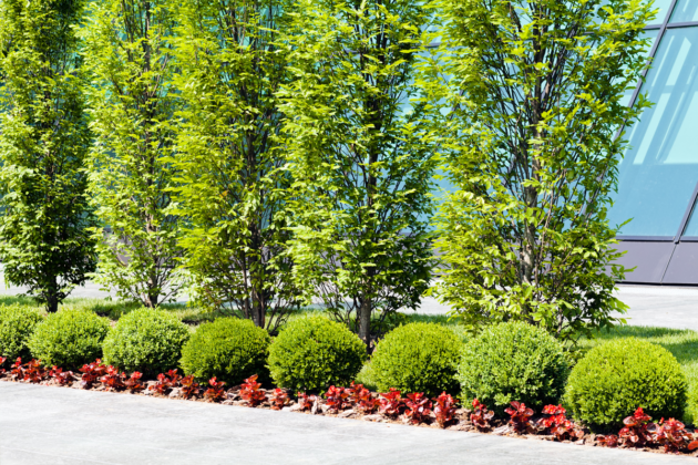 commercial landscaping Colorado Springs
