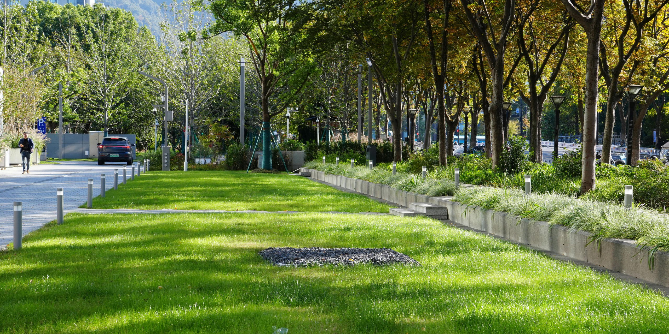 commercial landscaping