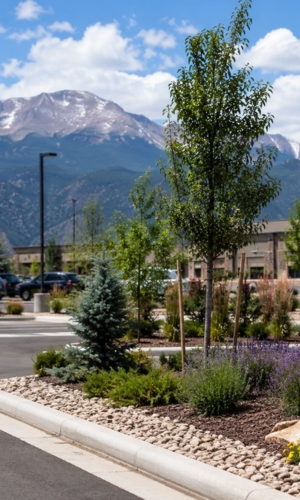 HOA landscaping Colorado Springs HOA landscaping Colorado Springs